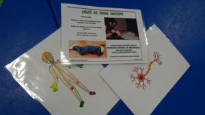 Día Europeo de Concienciación ante el Paro Cardiaco