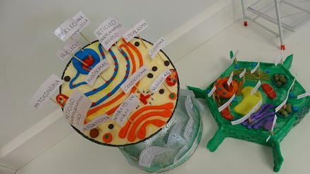 Realización de maquetas de células en ampliación de Biología y Geología de 4º de ESO