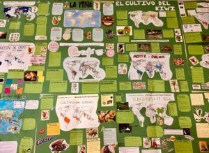 Los alumnos de 3º de ESO investigan sobre la procedencia de los alimentos
