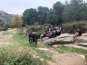 Visita a la Pedriza de los alumnos de 3º de ESO