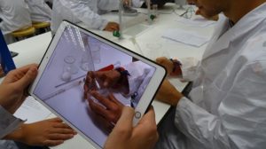 Disoluciones en el laboratorio de los alumnos de 3º de ESO
