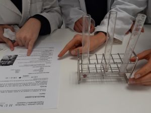Desnaturalización de la proteína del hígado en 1º de Bachillerato