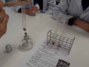 Desnaturalización de la proteína del hígado en 1º de Bachillerato