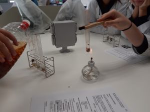 Desnaturalización de la proteína del hígado en 1º de Bachillerato