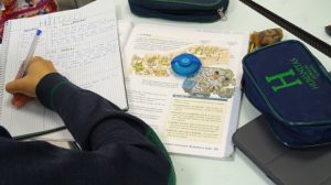 Repasando los contenidos de Historia en 1º de ESO