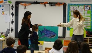 Presentación sobre animales acuáticos en 1º de Primaria