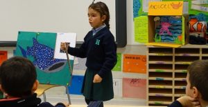 Presentación sobre animales acuáticos en 1º de Primaria