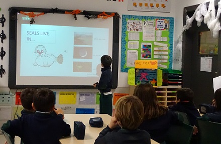 Presentación sobre animales acuáticos en 1º de Primaria