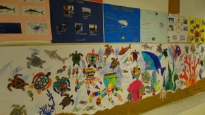 Presentación sobre animales acuáticos en 1º de Primaria