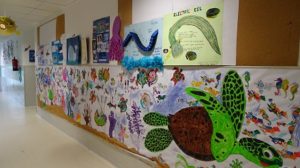 Presentación sobre animales acuáticos en 1º de Primaria