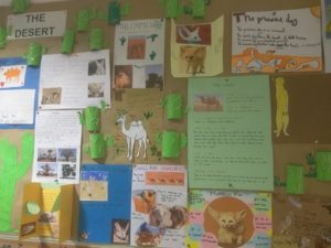Gamificación el desierto en 3º de Primaria