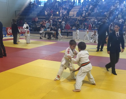 Campeonato de Judo