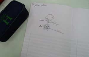 Conociendo el cuerpo humano en 2º de Primaria