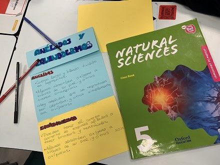 ORGANIZACIÓN DE LOS SERES VIVOS EN 5º DE PRIMARIA