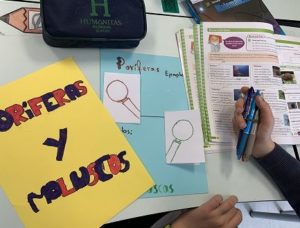 ORGANIZACIÓN DE LOS SERES VIVOS EN 5º DE PRIMARIA