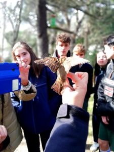 Anillamiento de aves en 4º de ESO