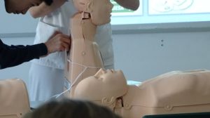 Los alumnos de 3ºESO ha ampliado los conocimientos sobre la función y conducción eléctrica del corazón