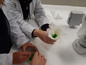 Cromatografía en 1º de Bachillerato
