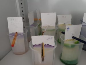 Cromatografía en 1º de Bachillerato