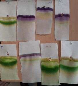 Cromatografía en 1º de Bachillerato