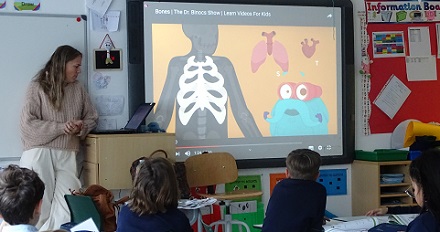 Estudiando el cuerpo humano en 2º de Primaria