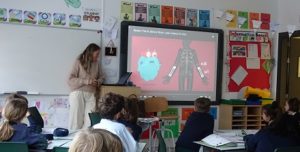 Estudiando el cuerpo humano en 2º de Primaria