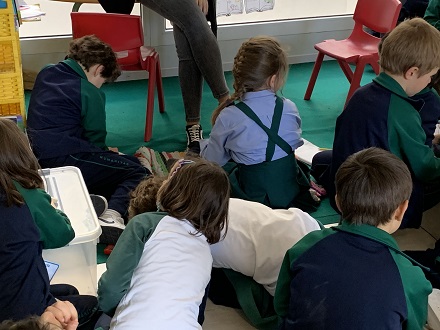 COLOURFUL SEMANTICS en 1º de Primaria