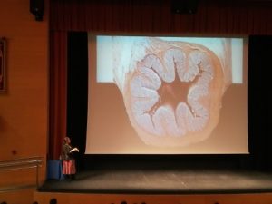 Conferencia sobre inmunooncología para los alumnos de 4º de ESO y 1º de Bachillerato de Ciencias