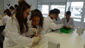 Disección de corazón en 3º de ESO