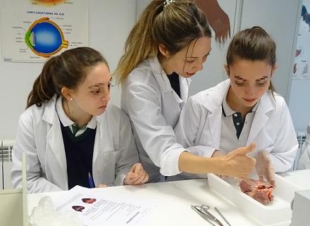 Disección de corazón en 3º de ESO