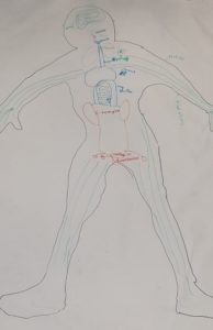 Representación del cuerpo humano en 2º de Primaria