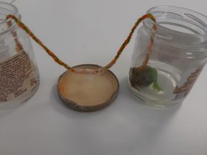 Taller de Ciencias en ESO