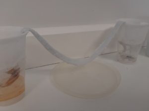 Taller de Ciencias en ESO
