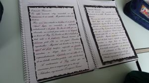 El juglar encarcelado en 4º de Primaria