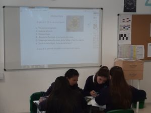 Investigando el coronavirus en 4º ESO