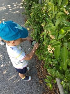 Actividades lúdicas el Summer Camp