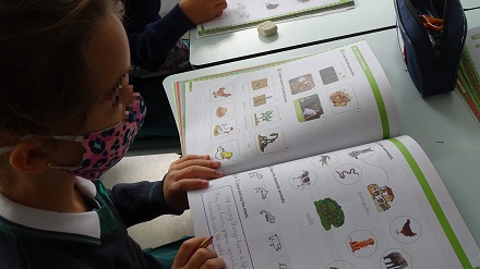 Seres vivos y ciclo de la vida en 1º de Primaria