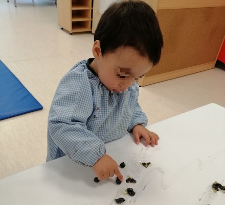 Experimentación con arándanos en Nursery 1