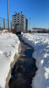 QUITANDO LA NIEVE DEL COLEGIO