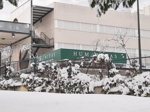 Nevada en HBS