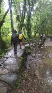 Camino de Santiago