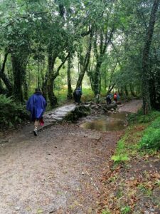 Camino de Santiago