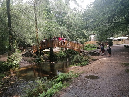 Camino de Santiago