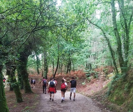 Segunda etapa del Camino