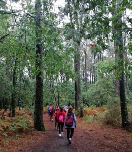 LLegada a Santiago de Compostela
