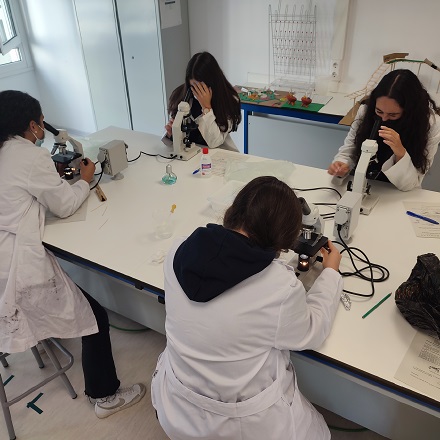 Prácticas de Biología en 1º Bachillerato
