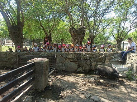 3º de Infantil en la granja